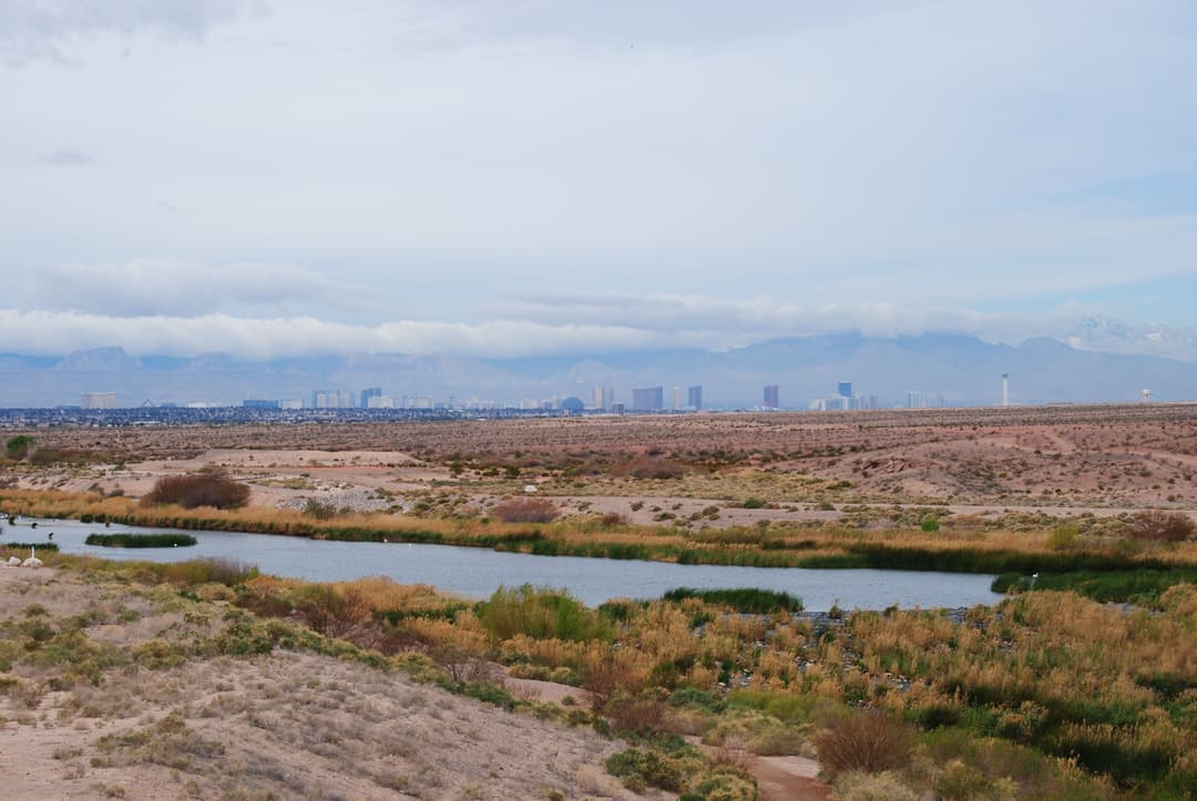 The valley skyline and snow-capped Spring Mountains beyond the desert wetlands near Henderson.