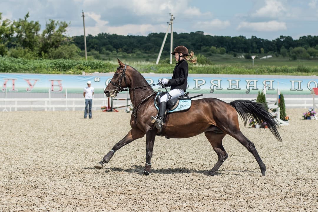 A rider after a long dressage school, where the lower back and sacroiliac joint absorb the repeated shock of sitting trot.