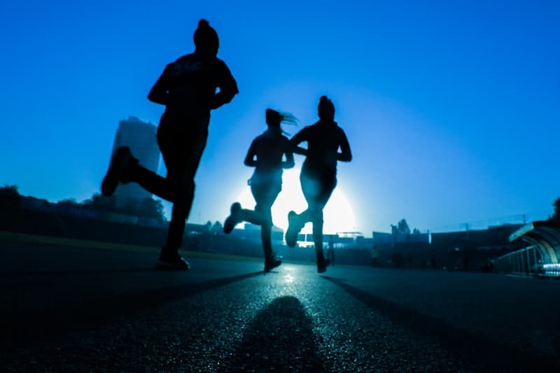 Cuts recovery time between workouts in half. Elevated GH speeds up tissue repair and muscle protein synthesis.