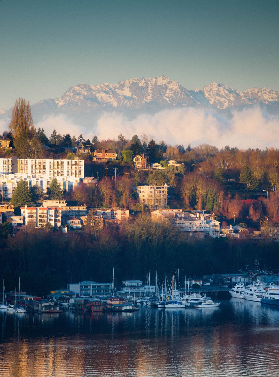A clear morning over a Puget Sound waterfront, snowcapped peaks beyond.