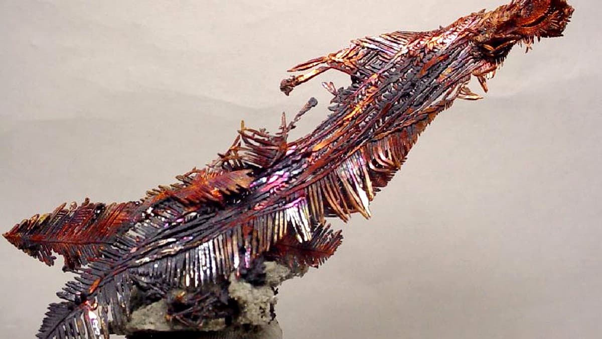 Dendritic native copper crystal. GHK-Cu is a copper-binding tripeptide your body uses as a regeneration signal. It declines 60% by age 60. The "Cu" in the name is copper's chemical symbol.