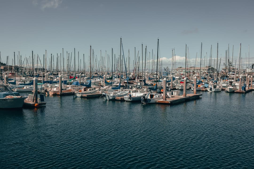 Sailboats moored in a marina under a flat coastal sky.