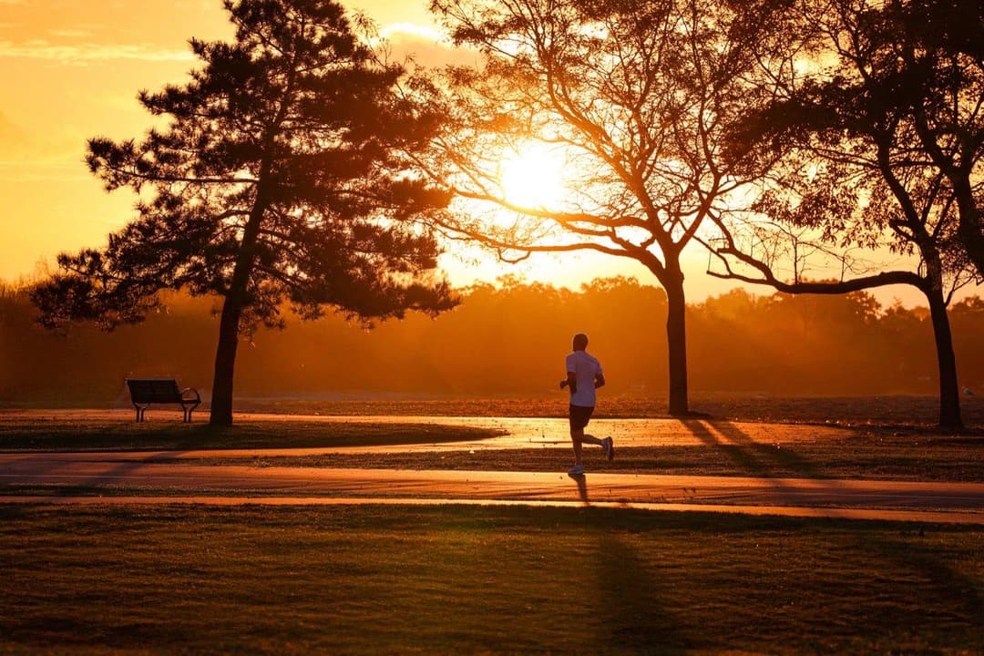 A morning run is the signal MOTS-c mimics at the cellular level. It is also the part of this pairing with actual human evidence behind it.