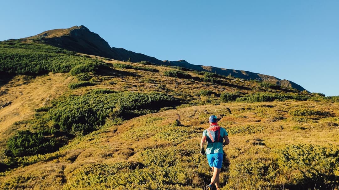 Morning miles on an open trail, the kind of training TB-500 users are trying to get back to.